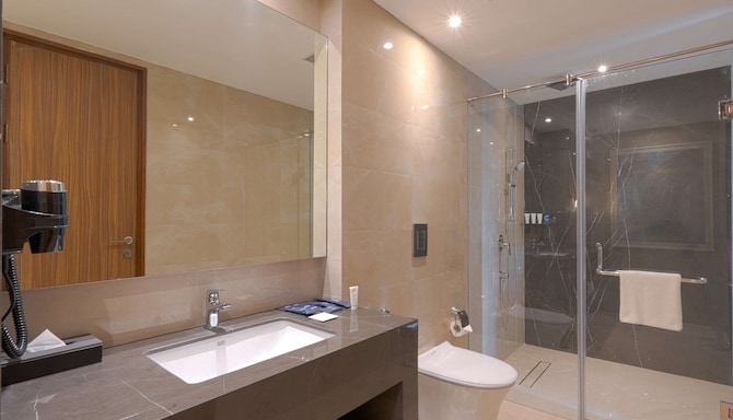 Park Inn by Radisson Ayodhya - Suite bathroom