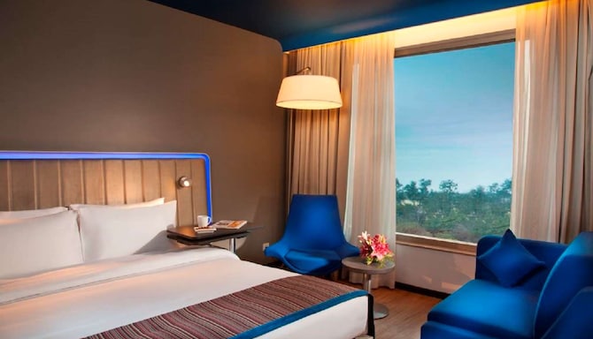 Park Inn by Radisson Bilaspur - Deluxe Room