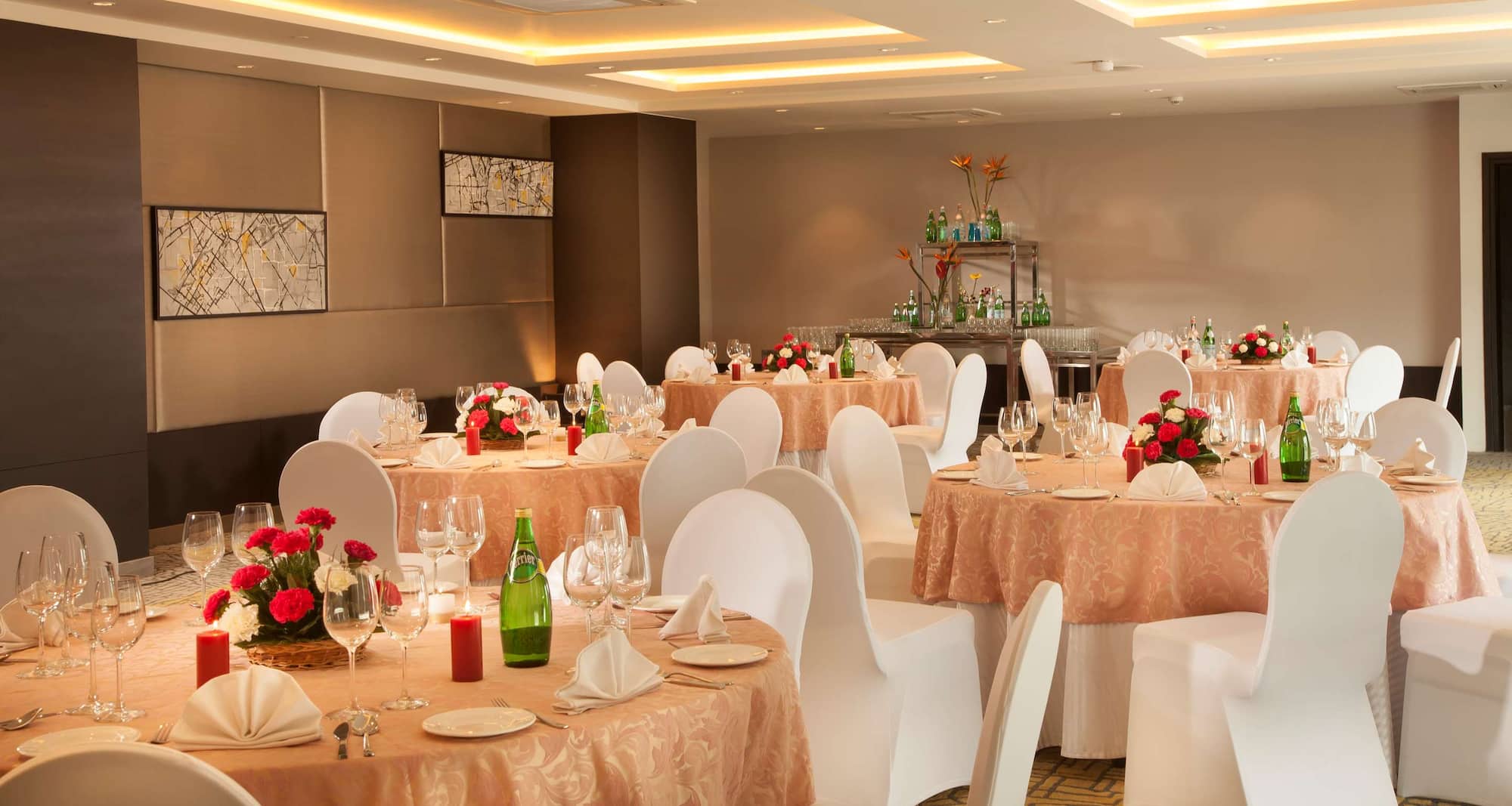 Park Inn by Radisson Bilaspur - Banquet Room