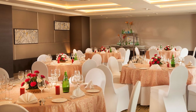 Park Inn by Radisson Bilaspur - Banquet Room