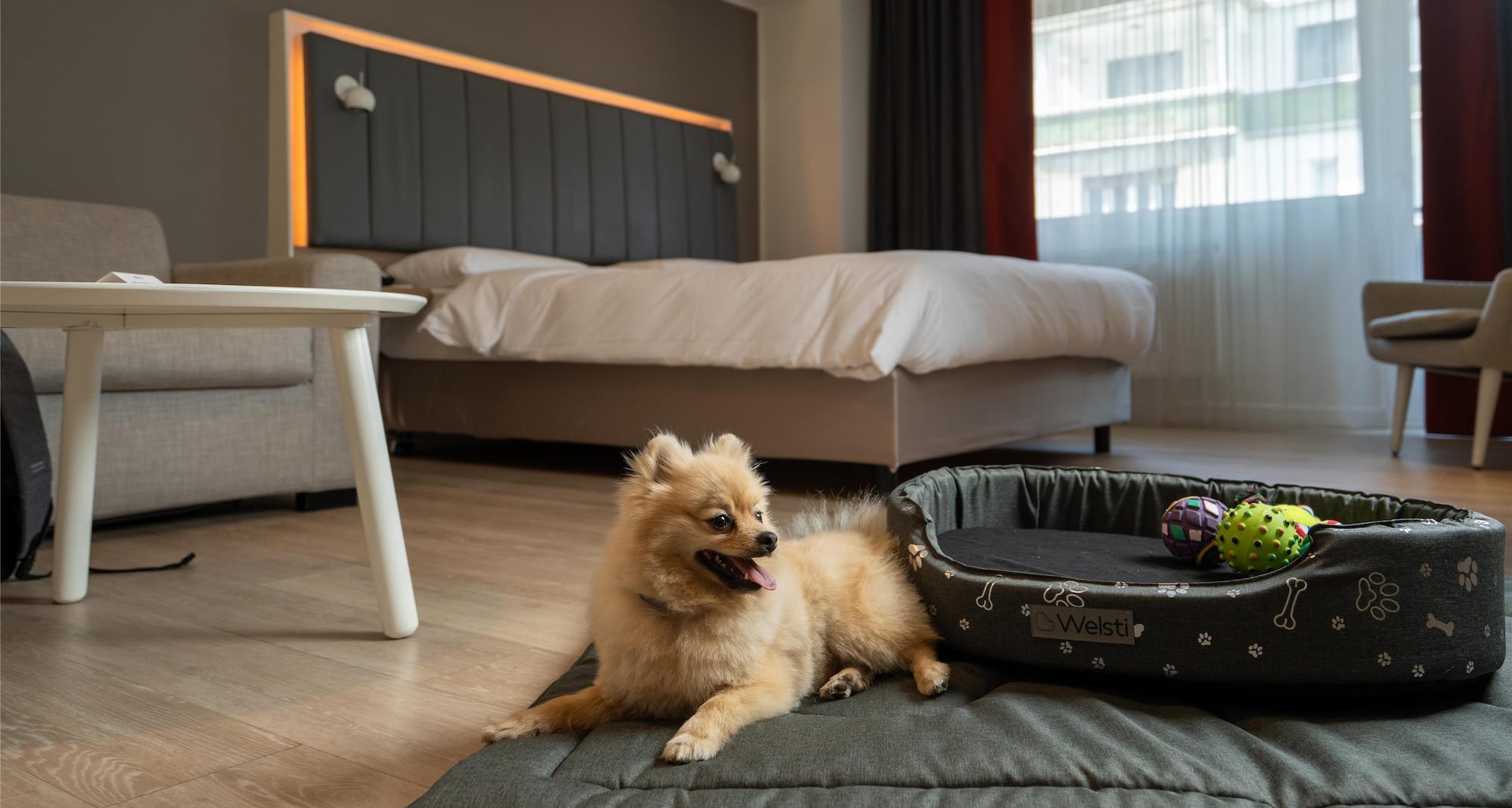 Park Inn by Radisson Bucharest Hotel and Residence - Pet friendly