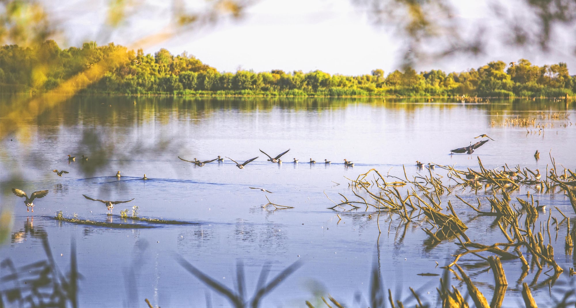 Park Inn by Radisson Hotel and Spa Zalakaros - Kis Balaton