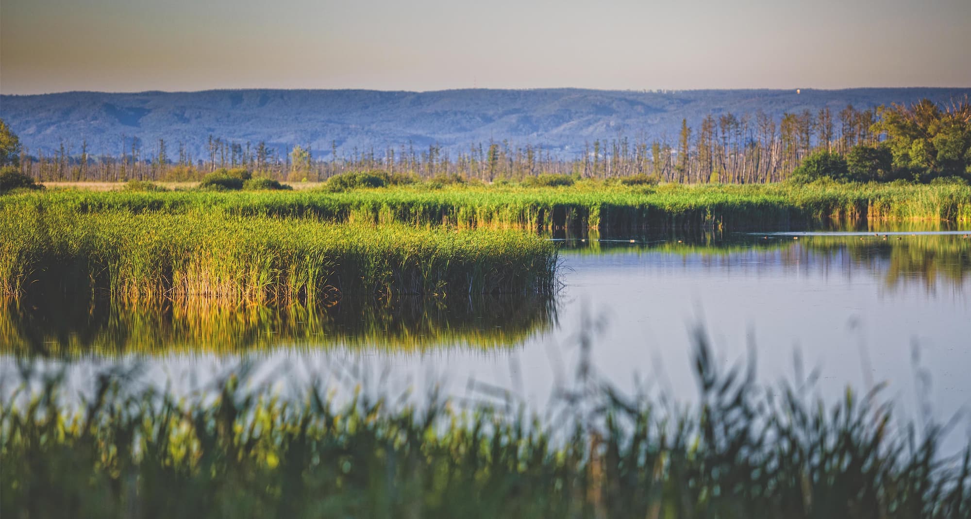 Park Inn by Radisson Hotel and Spa Zalakaros - Kis Balaton