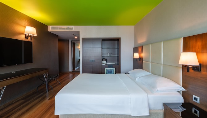Park Inn by Radisson Istanbul Asia Kavacik - Standard Room