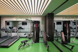 Park Inn by Radisson Izmir - Spor Salonu