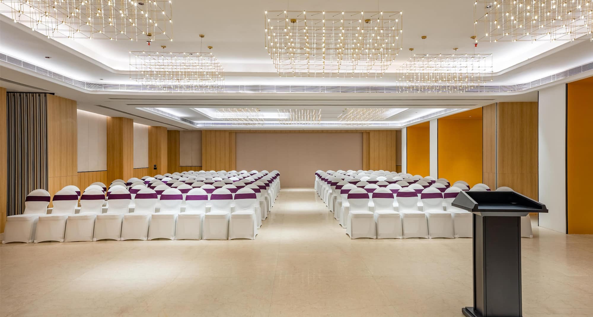 Park Inn by Radisson Jabalpur - Banquet Tapi