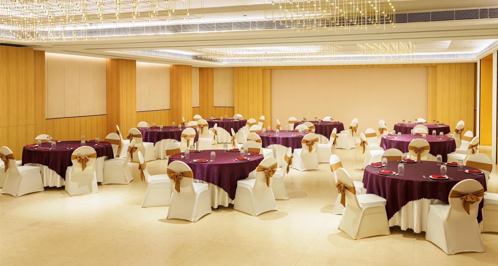Park Inn by Radisson Jabalpur - Banquet Social Setup