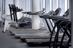 Park Inn by Radisson Meriton Conference and Spa Hotel Tallinn (Estonia) - Gym treadmills