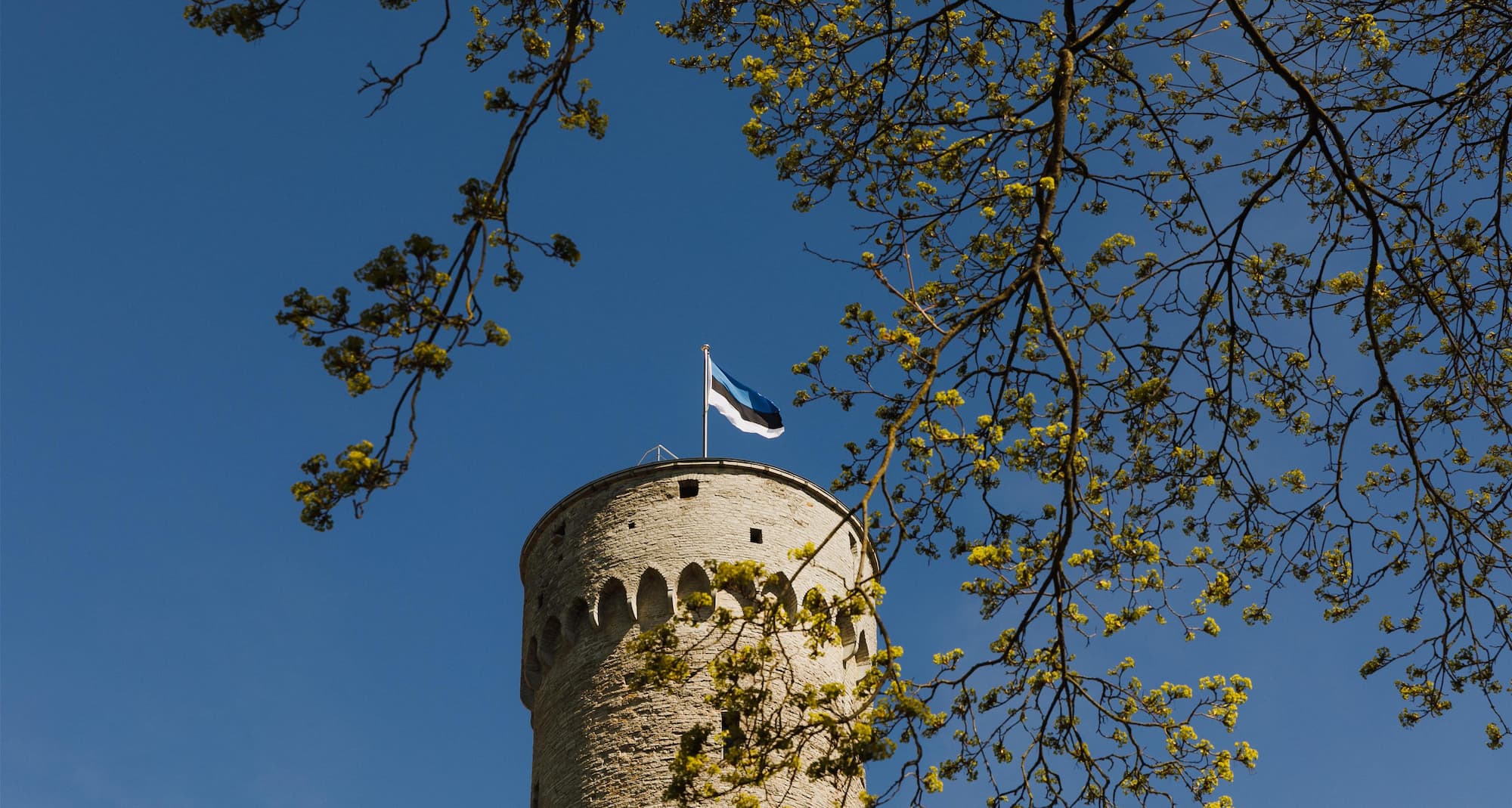 Park Inn by Radisson Meriton Conference and Spa Hotel Tallinn - Tall Hermann view