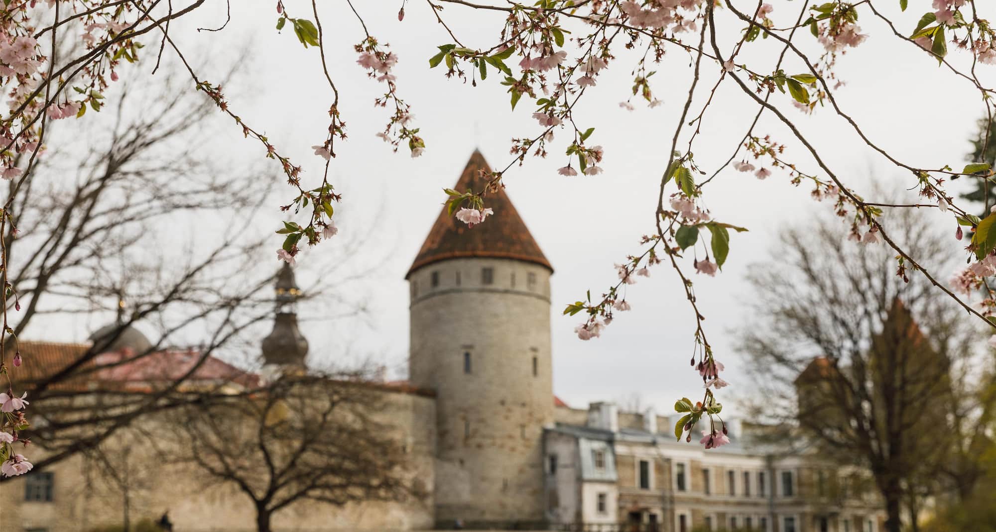 Park Inn by Radisson Meriton Conference and Spa Hotel Tallinn - Tallinn Old Town View