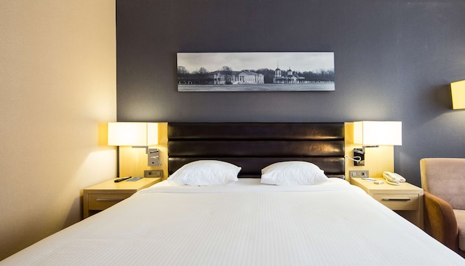 Park Inn by Radisson Moscow Izmailovo Moscow - Guest Room king bed