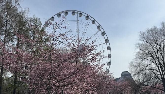 Park Inn by Radisson Riga Valdemara - Riga Rise Panorama Wheel