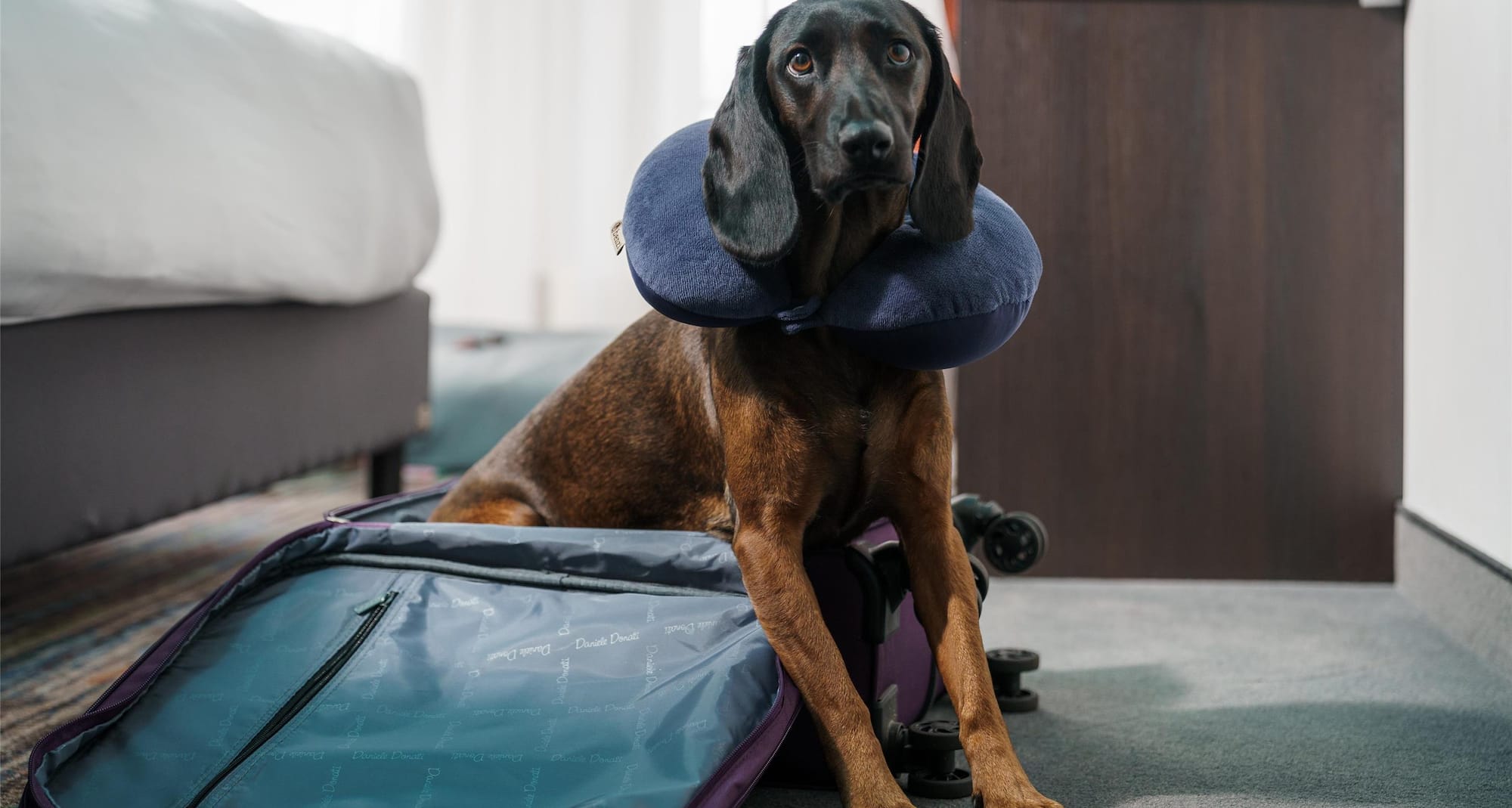 Park Inn by Radisson Riga Valdemara - RAD pet