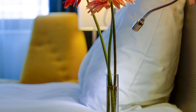 Park Inn by Radisson Rosa Khutor - Standard Room Bedside
