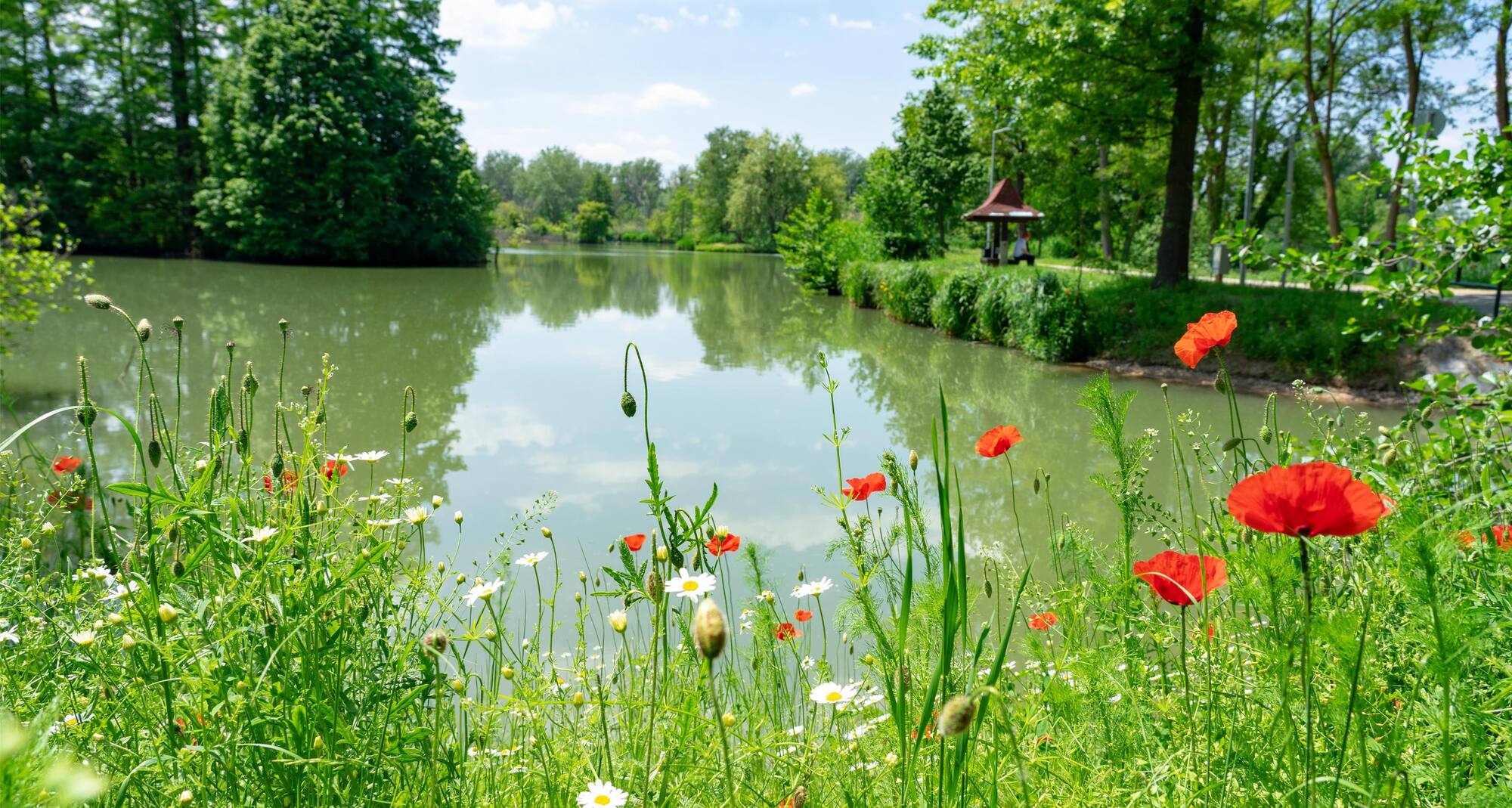 Park Inn by Radisson Sarvar Resort and Spa - Arboretum Local Attraction