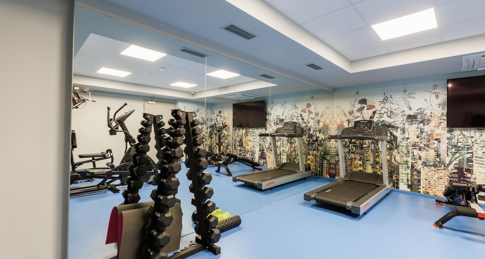 Park Inn by Radisson Vilnius Airport Hotel and Conference Centre - Fitness room