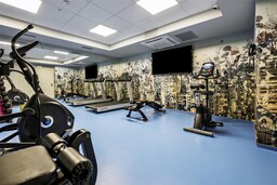 Park Inn by Radisson Vilnius Airport - Gym