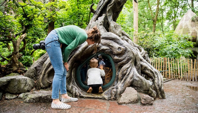 Efteling – VisitBrabant