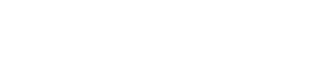 Park Plaza Brand - EMEA - PKP   HolmesLogoNoPadding white small