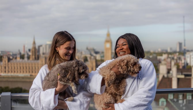 Park Plaza Brand - EMEA - Park Plaza Pets