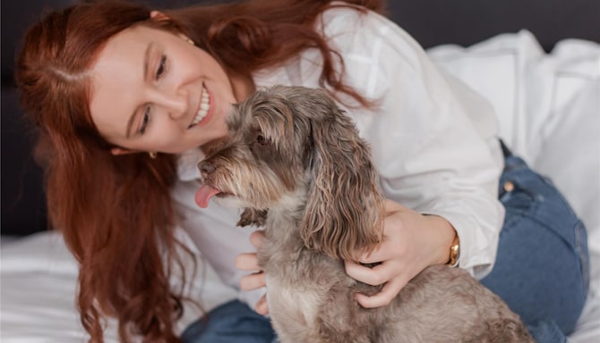 Park Plaza Brand - EMEA - Park Plaza Pets