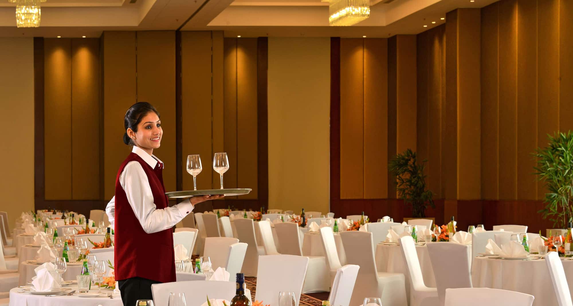 Park Plaza Chandigarh Zirakpur - Banquet