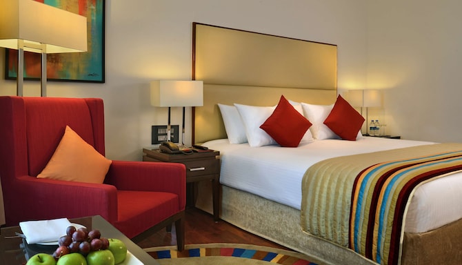 Park Plaza Chandigarh Zirakpur - Superior Room