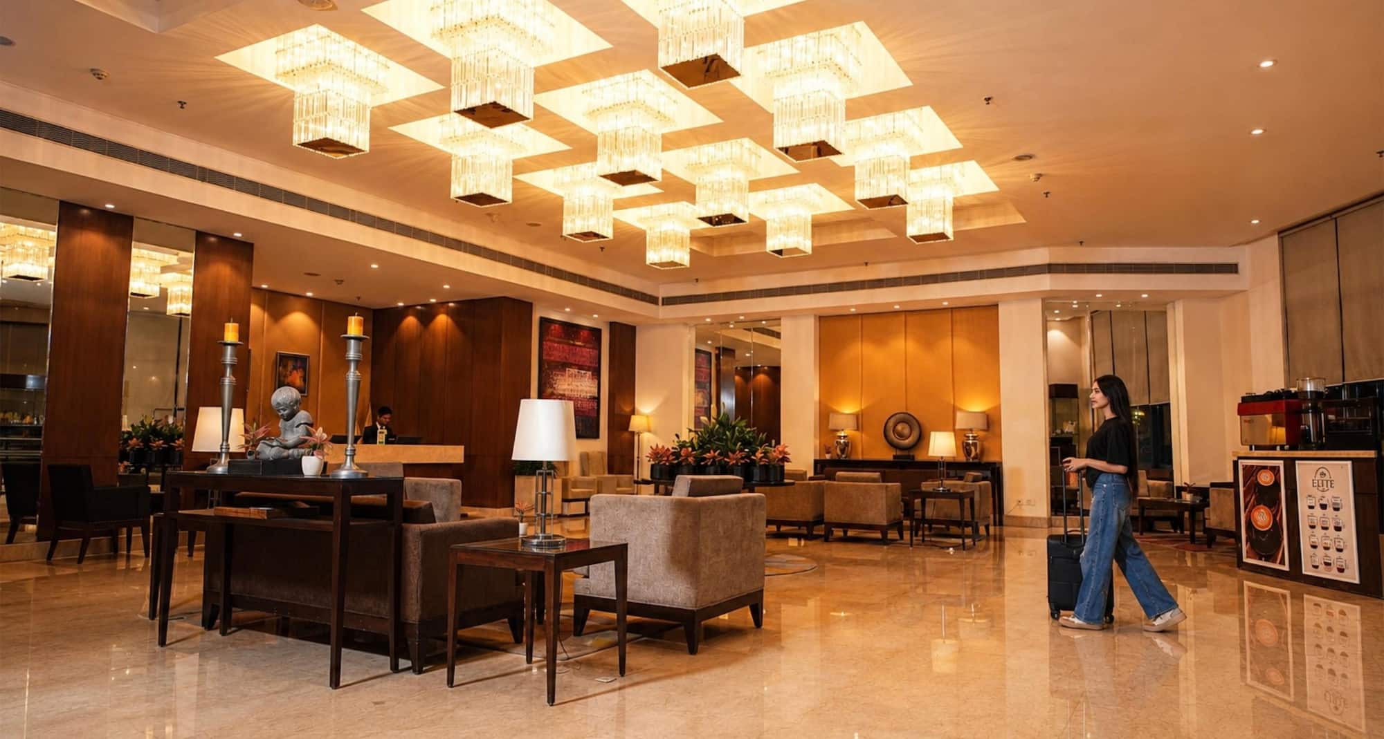 Park Plaza Chandigarh Zirakpur - Lobby
