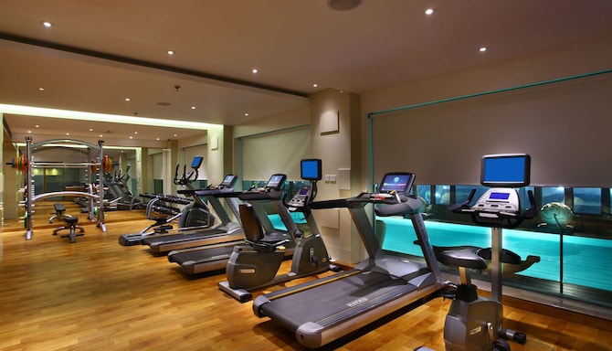 Park Plaza Delhi CBD Shahdara - Gym