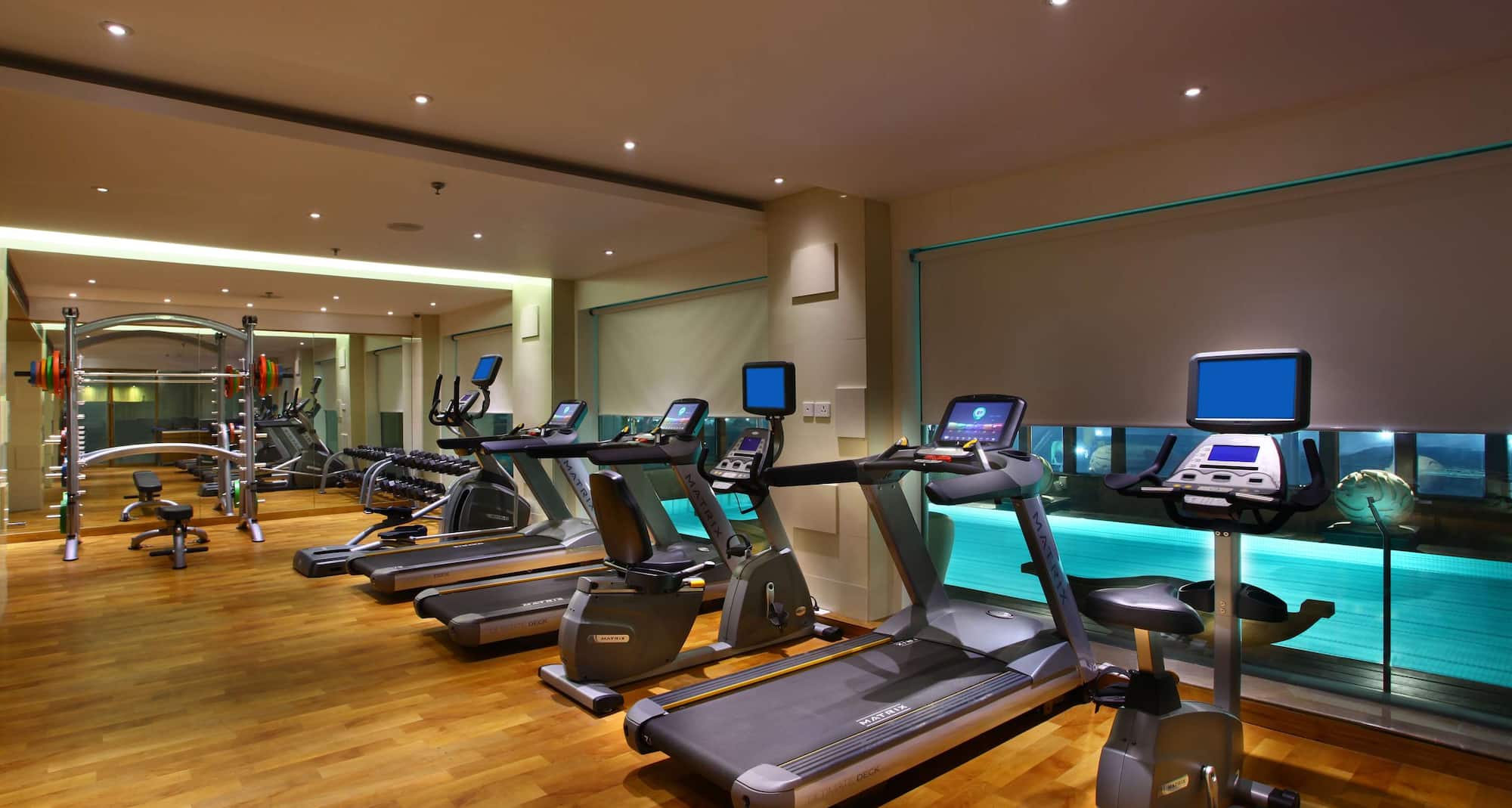 Park Plaza दिल्ली सीबीडी शाहदरा - जिम