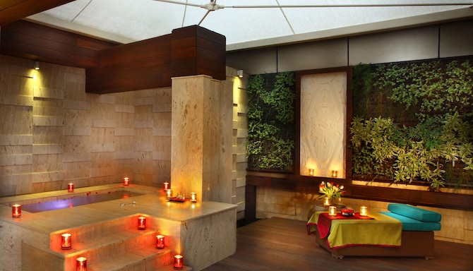 Park Plaza Delhi CBD Shahdara - Outside hot tub in Presidential Suite