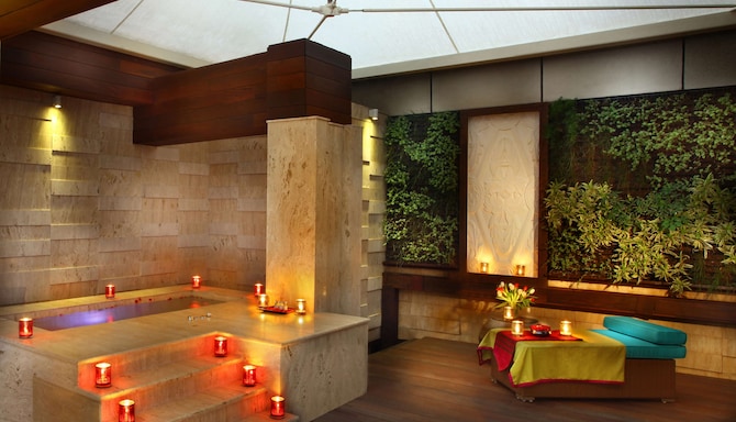 Park Plaza Delhi CBD Shahdara - Outdoor hot tub in Presidential Suite