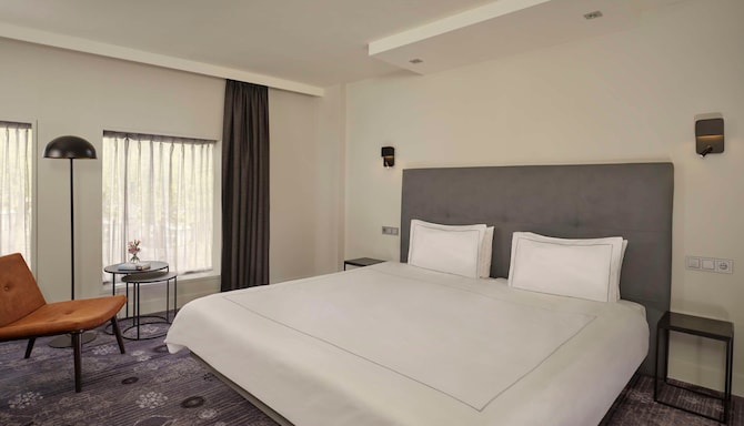 Park Plaza Eindhoven - Executive King Room