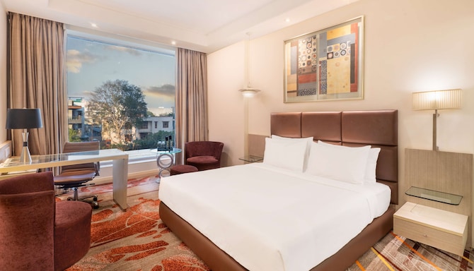 Park Plaza Faridabad - King Bedroom City View