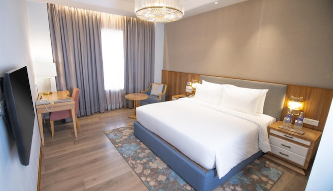 Park Plaza Jalandhar