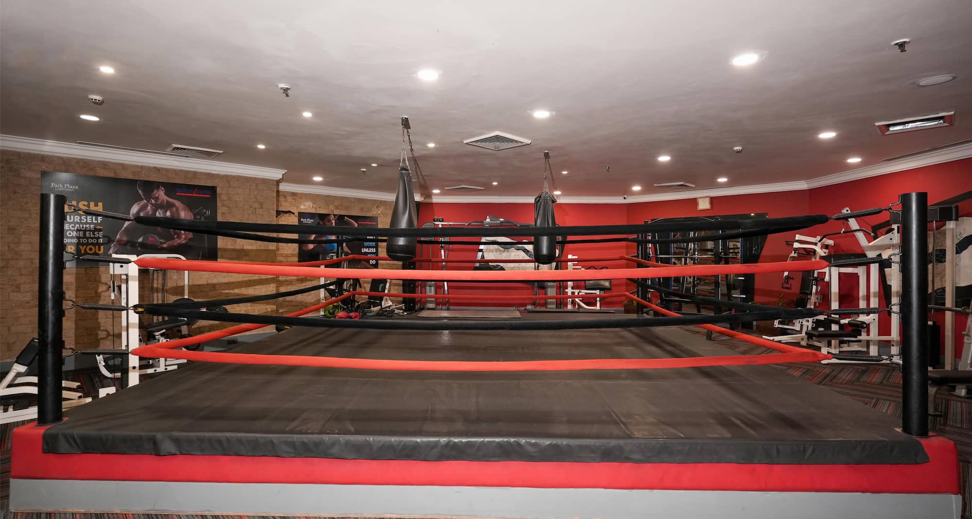 Park Plaza Ludhiana - Gym