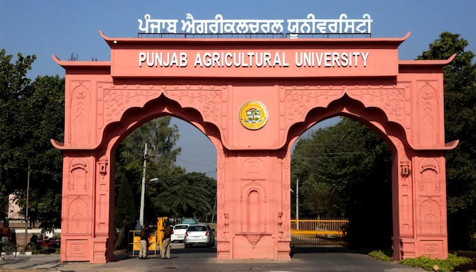 Park Plaza Ludhiana - Activity
