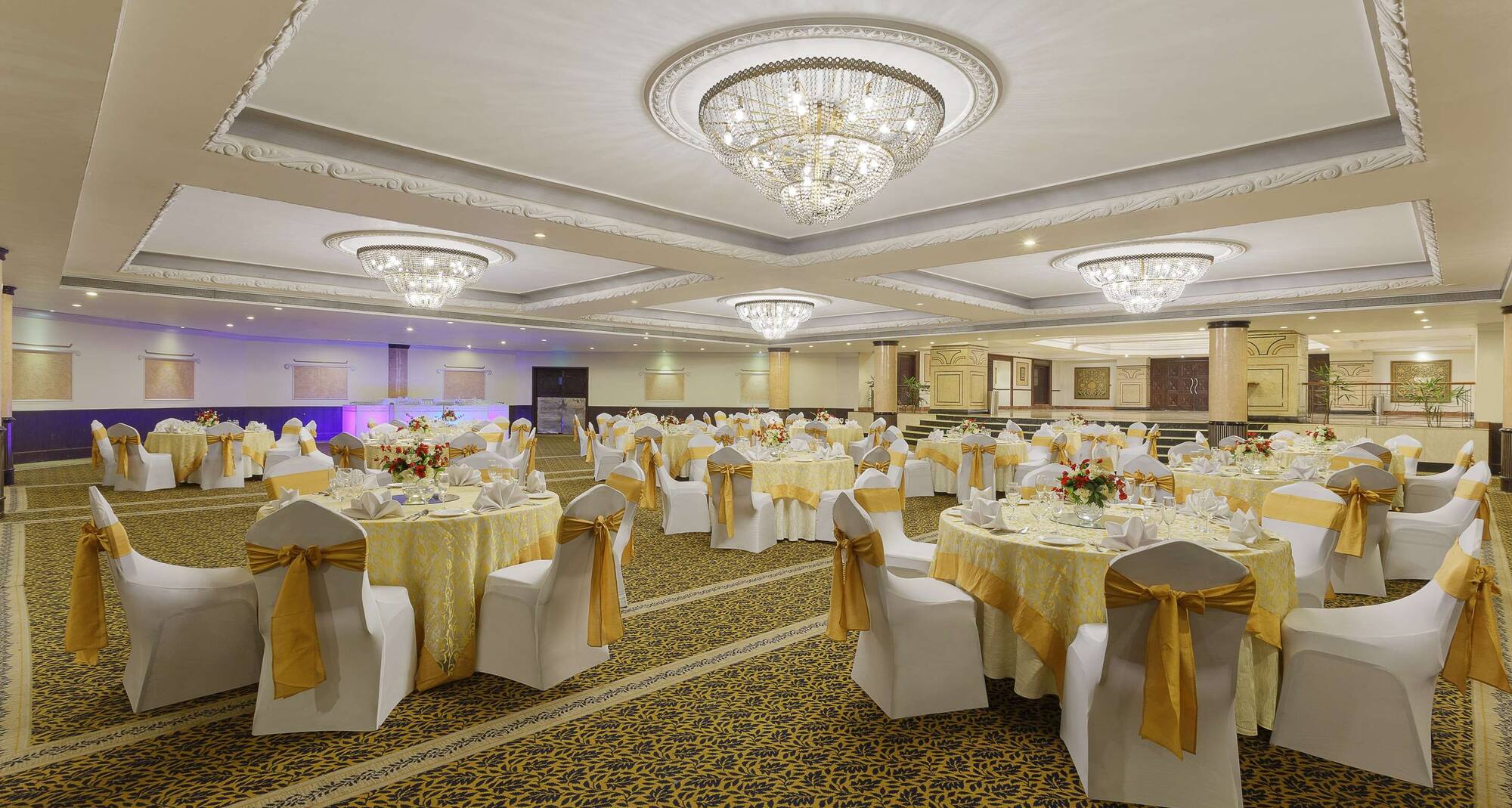 Park Plaza Ludhiana - Banquet Hall