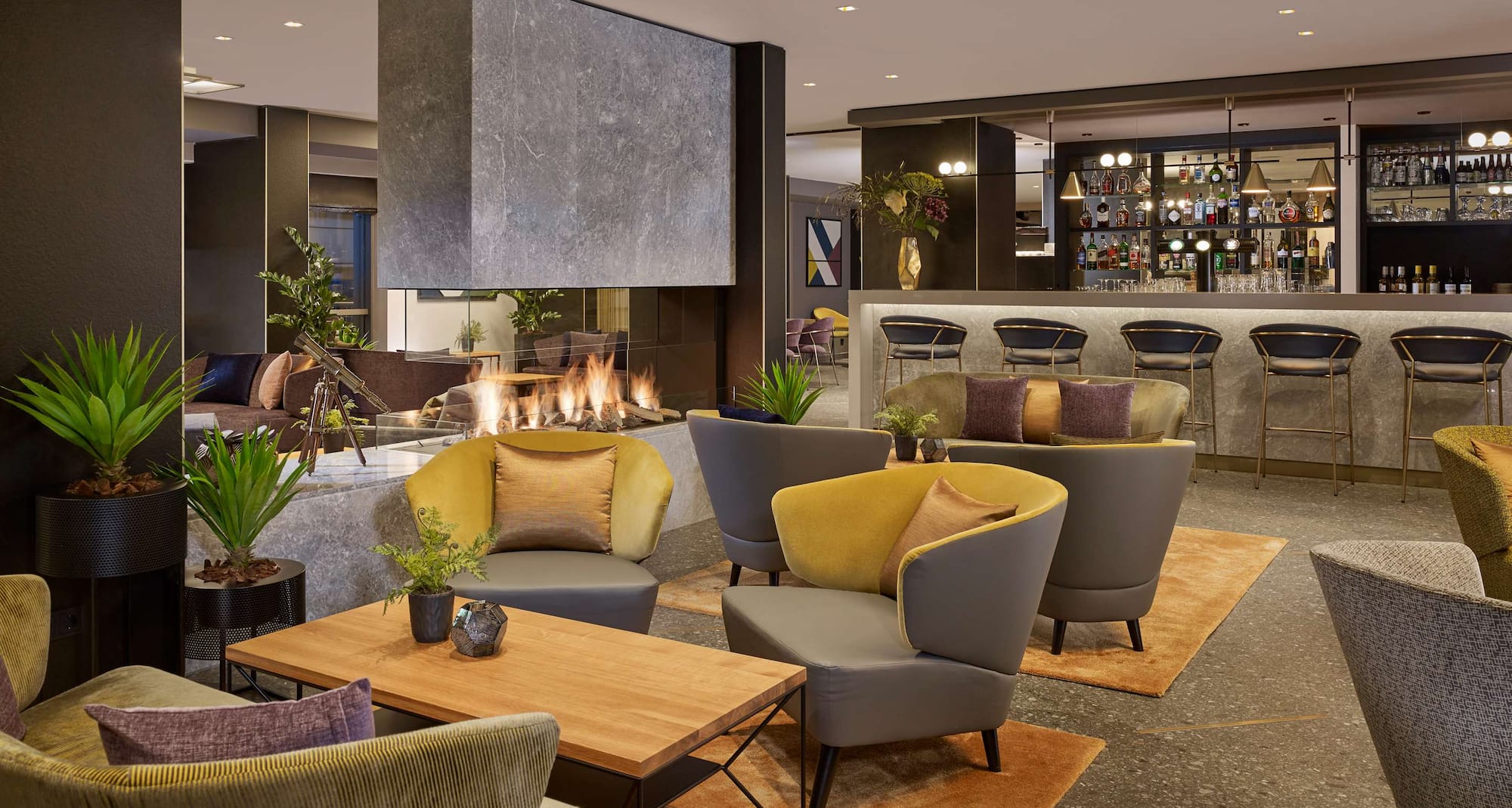 Park Plaza Utrecht - Open haard