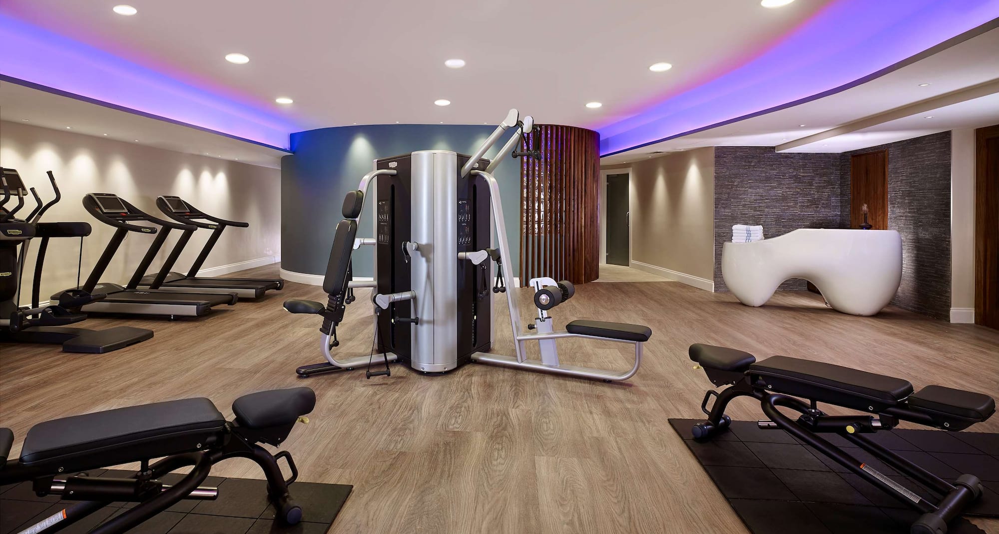 Park Plaza Victoria London - Gym