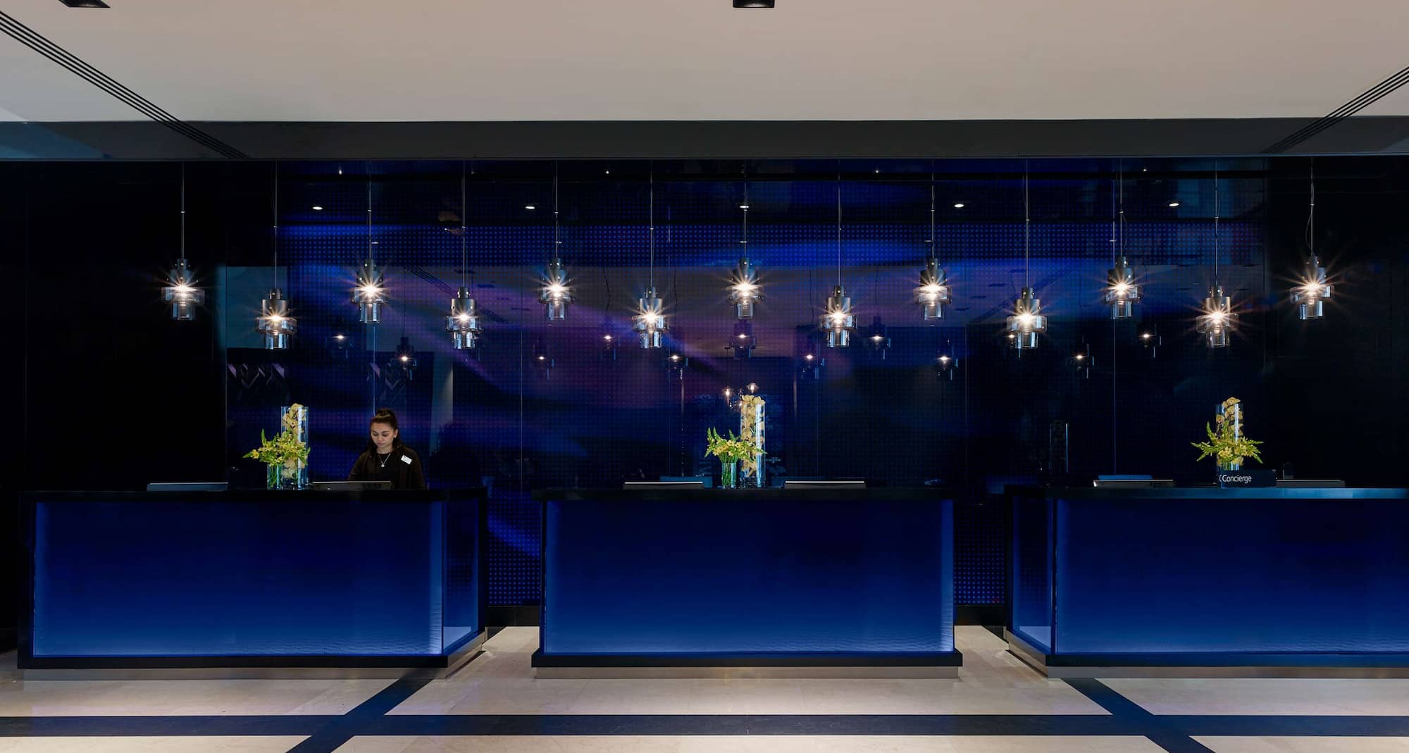 Park Plaza Victoria London - Reception