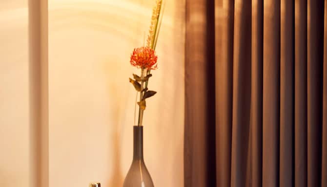 Park Plaza Vondelpark Amsterdam - Guest room