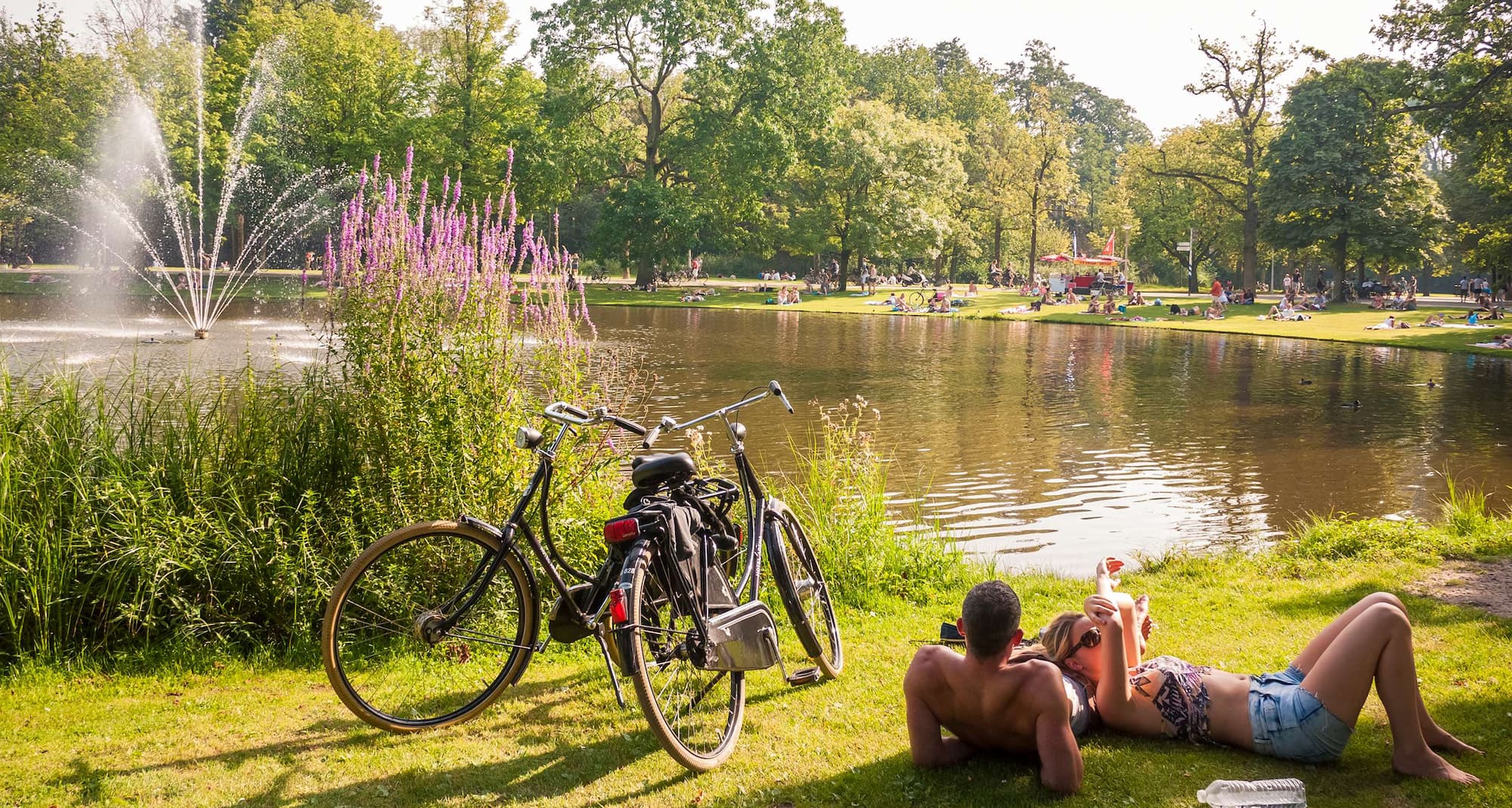 Park Plaza Vondelpark Amsterdam - Vondelpark View