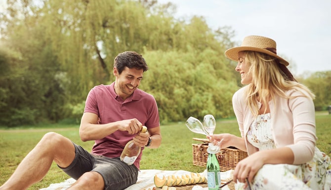 Park Plaza Vondelpark Amsterdam - TOZI Picnic Experience - Amsterdam Vondelpark