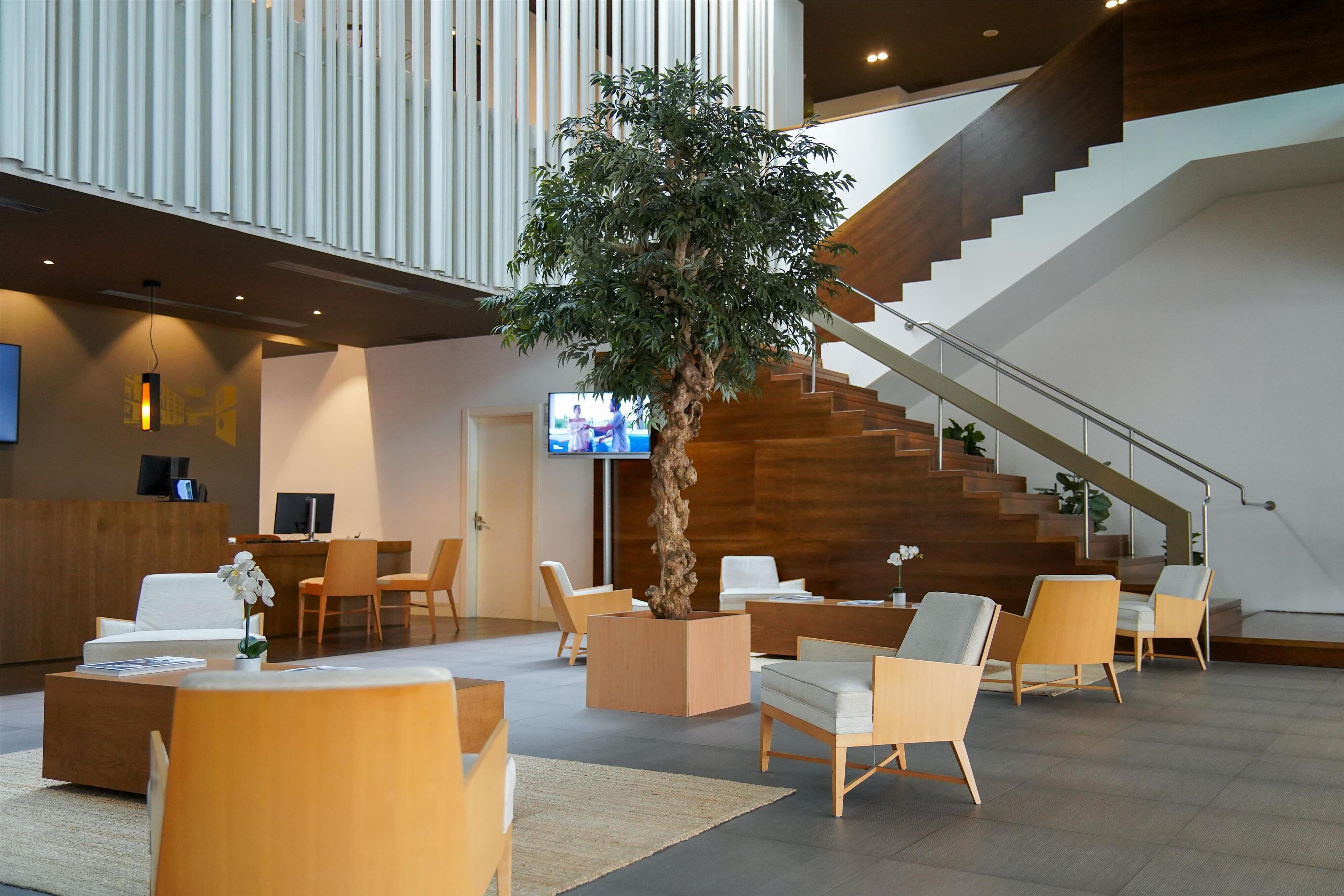 PR - EMEA 2026 - Blau Hotel Las Caldas a member of RI Lobby