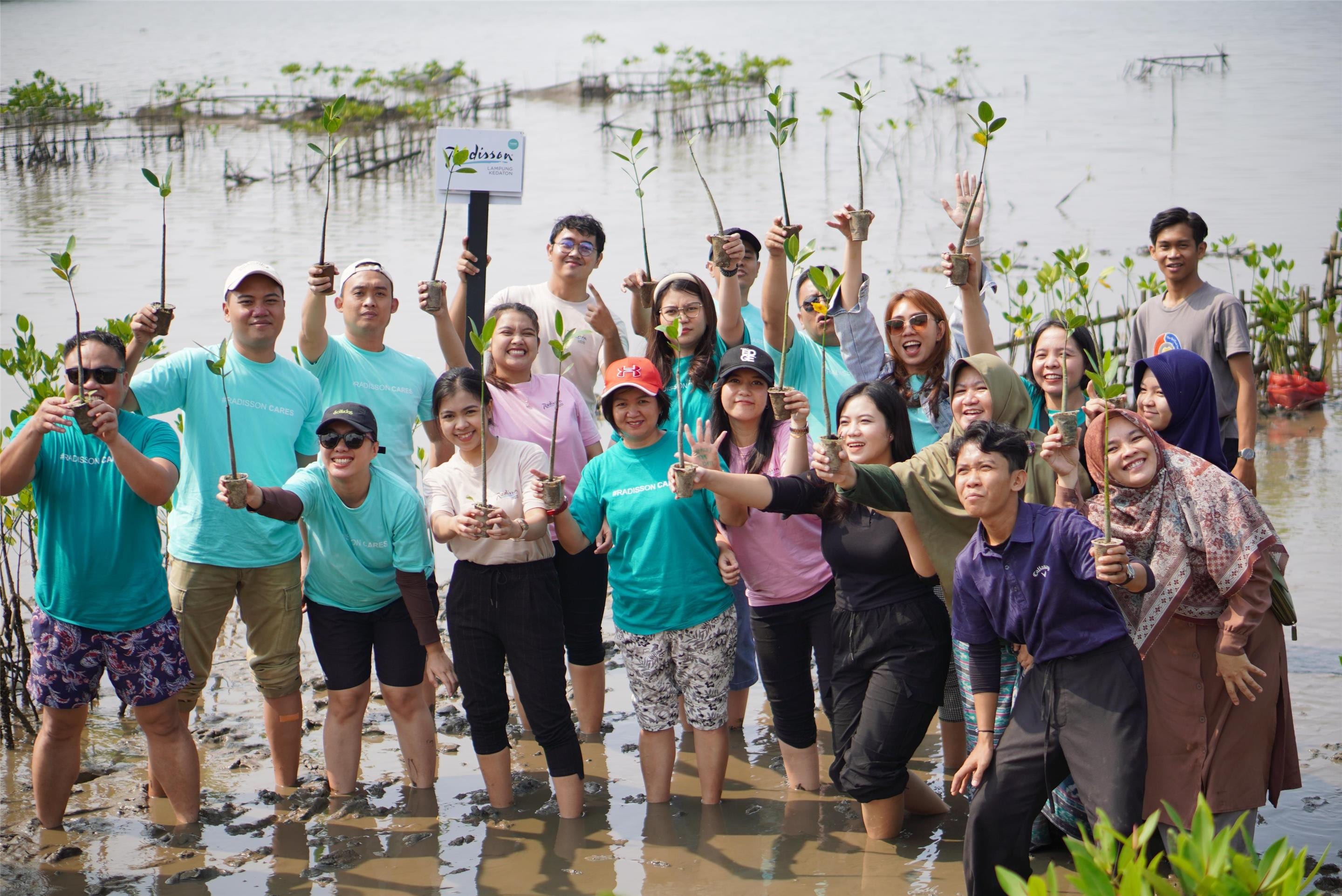 RB Report Planting mangroves