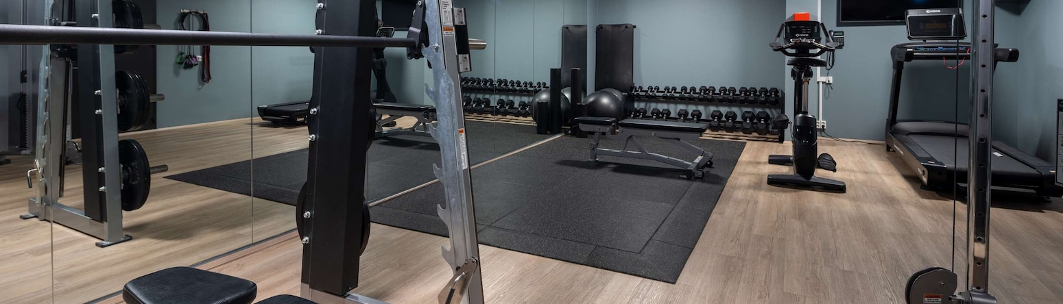 Radisson Blu 1919 Hotel, Reykjavik - Fitness overview