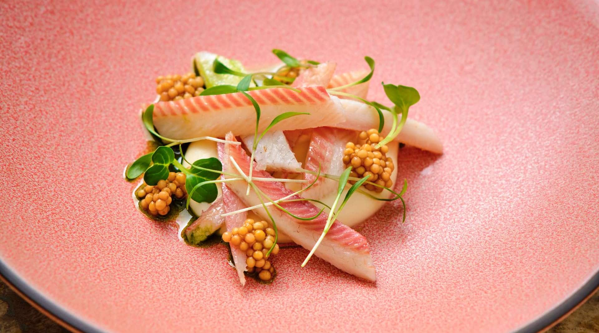 Radisson Blu 1919 Hotel, Reykjavik - Eel closeup