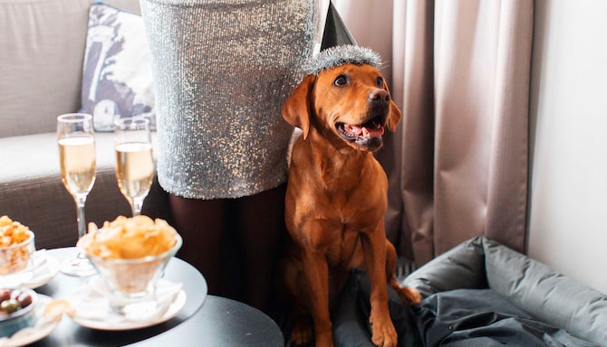 Radisson Blu Arlandia Hotel, Stockholm-Arlanda - Rad Pet | NYE