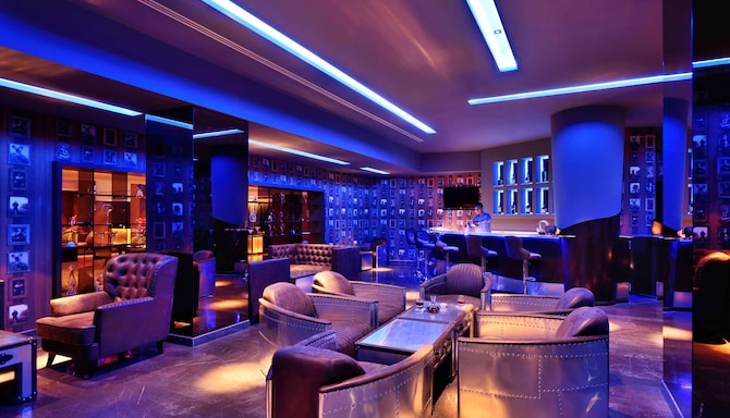 Radisson Blu Atria Bengaluru - Bar Lounge